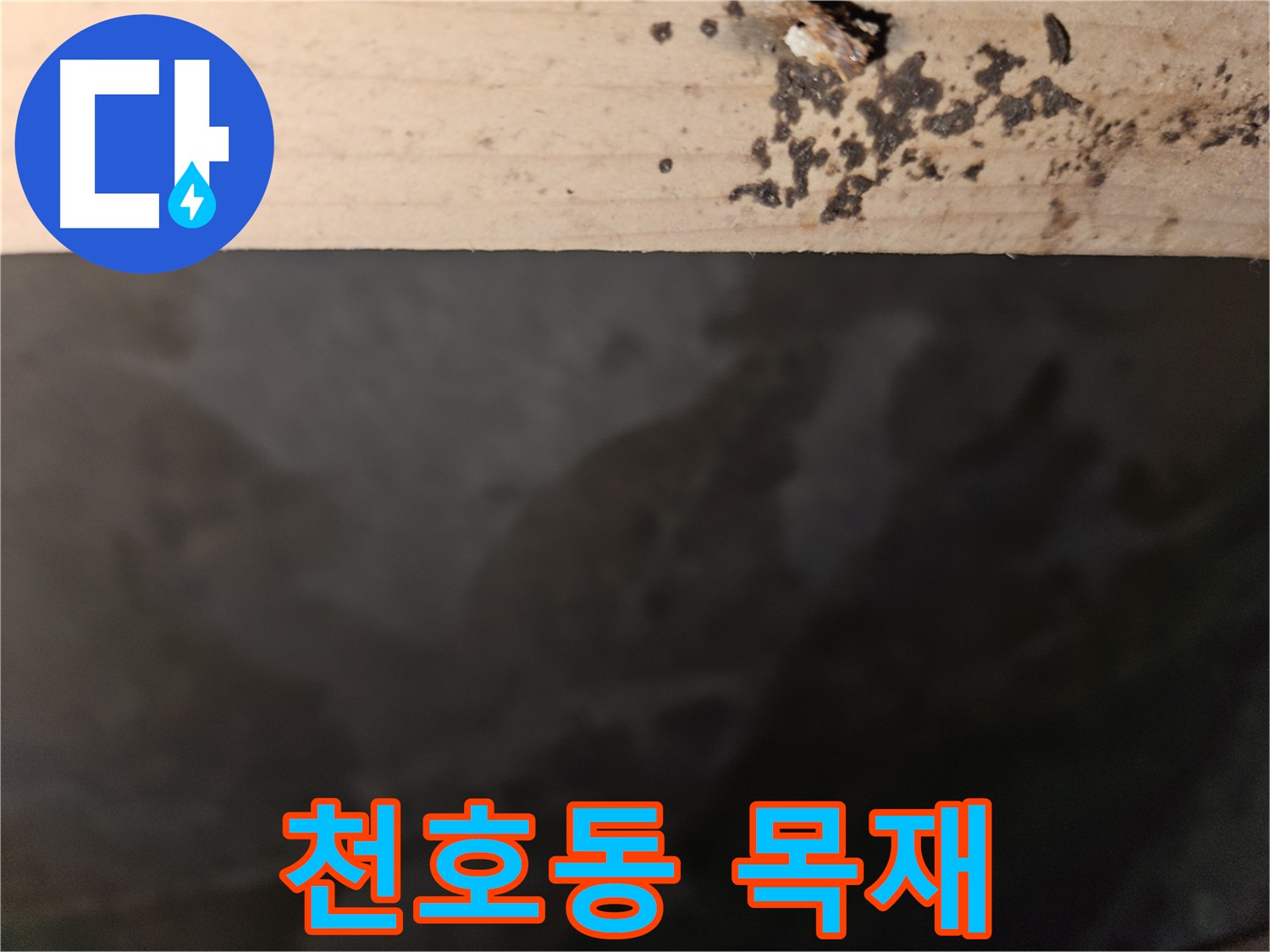 천호동 아파트 누수 - 목재 썩음 초기 발견 - 조기 진단