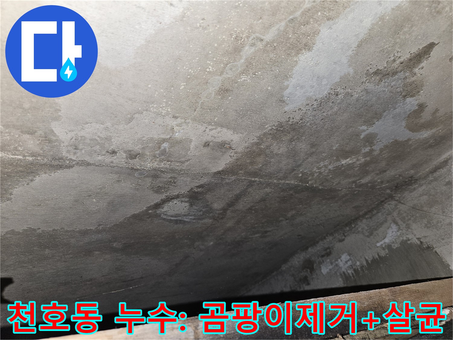 천호동 아파트 콘크리트 누수 - 곰팡이 제거 후 살균으로 완벽 마무리