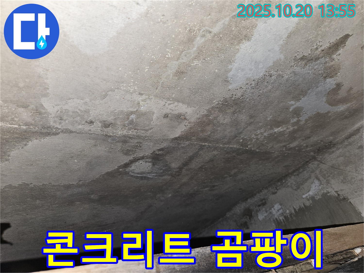 천호동 아파트 콘크리트 누수 - 콘크리트 표면에 곰팡이가 발생하기 시작한 초기 모습 이미지