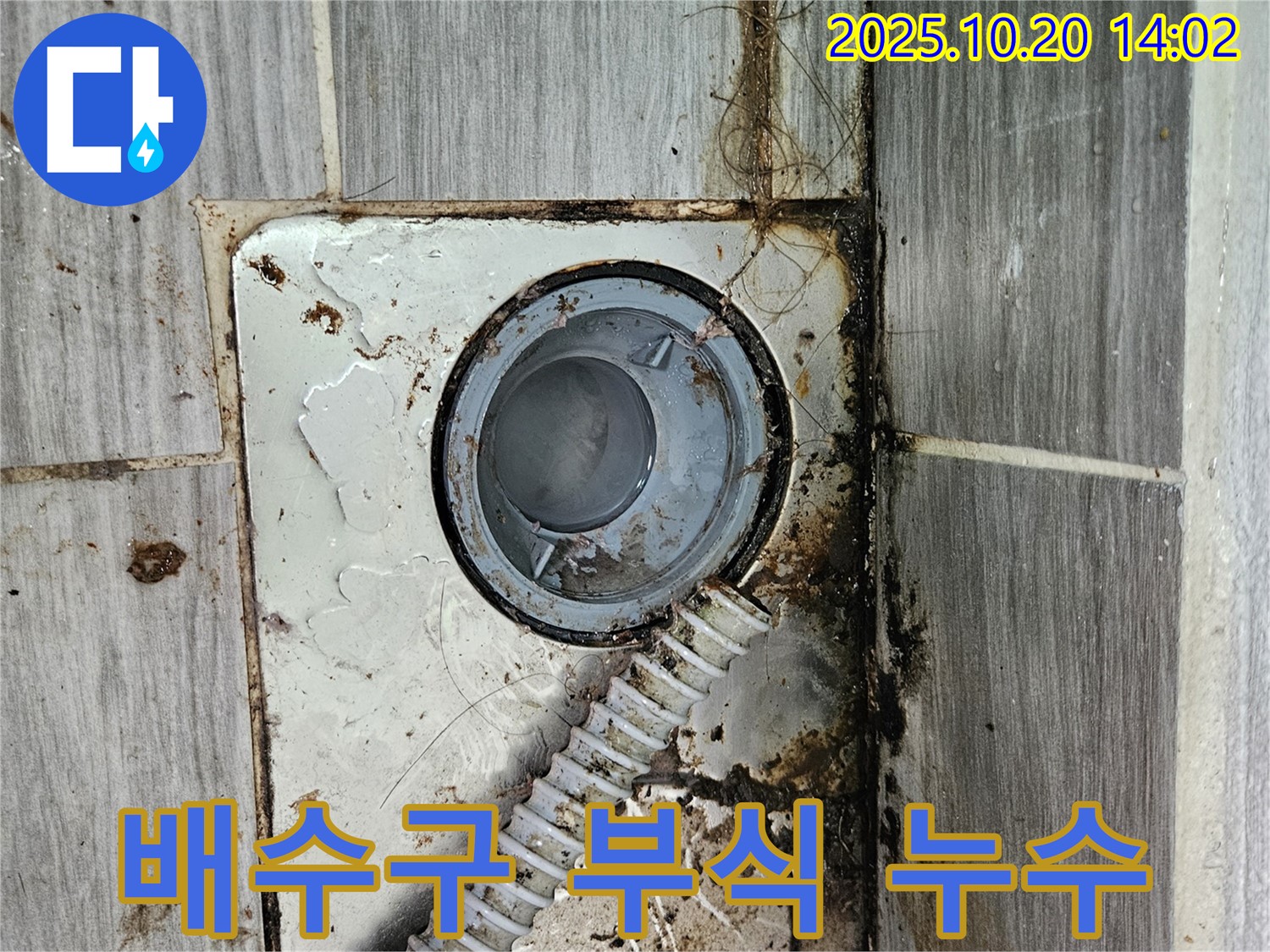 천호동 욕실 배수구 부식으로 인한 누수 - 낡은 배수구 부식으로 인한 누수를 완벽하게 해결했습니다.