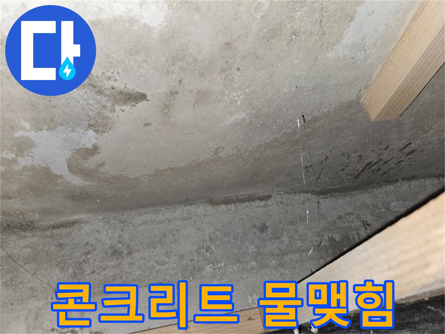 콘크리트 천장 물맺힘 - 누수로 인해 콘크리트 천장에 물방울이 맺혀 곰팡이 발생 위험을 알립니다.