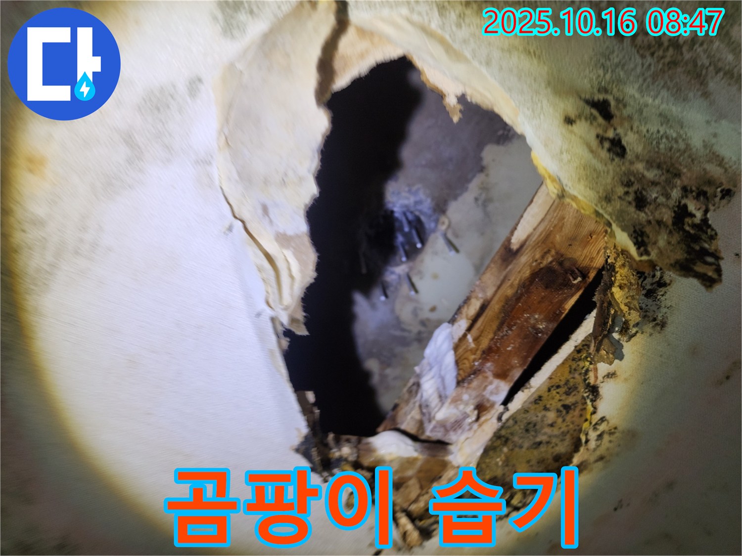 남면 경신리 누수 - 천장 속 곰팡이와 습기 - 누수 진행 중, 긴급 점검 및 완벽 차단을 약속드립니다.