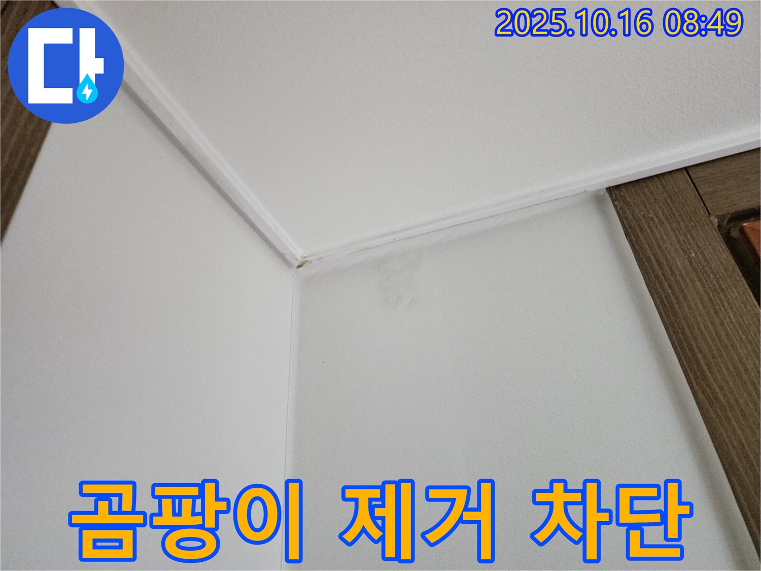 남면 경신리 벽 모서리 곰팡이 - 곰팡이 제거와 완벽 재발 방지 시공으로 건강한 공간을 만들어 드립니다.