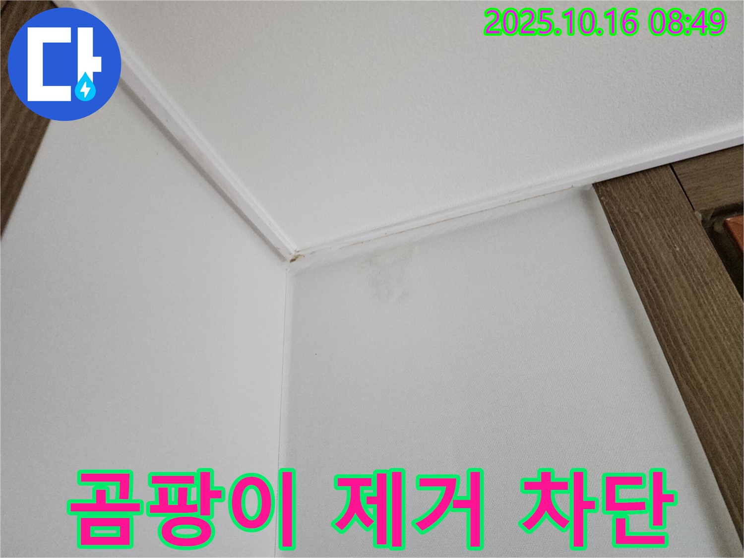 남면 경신리 벽 모서리 곰팡이 - 곰팡이 제거와 재발 방지 시공으로 건강한 공간을 만들어 드립니다.