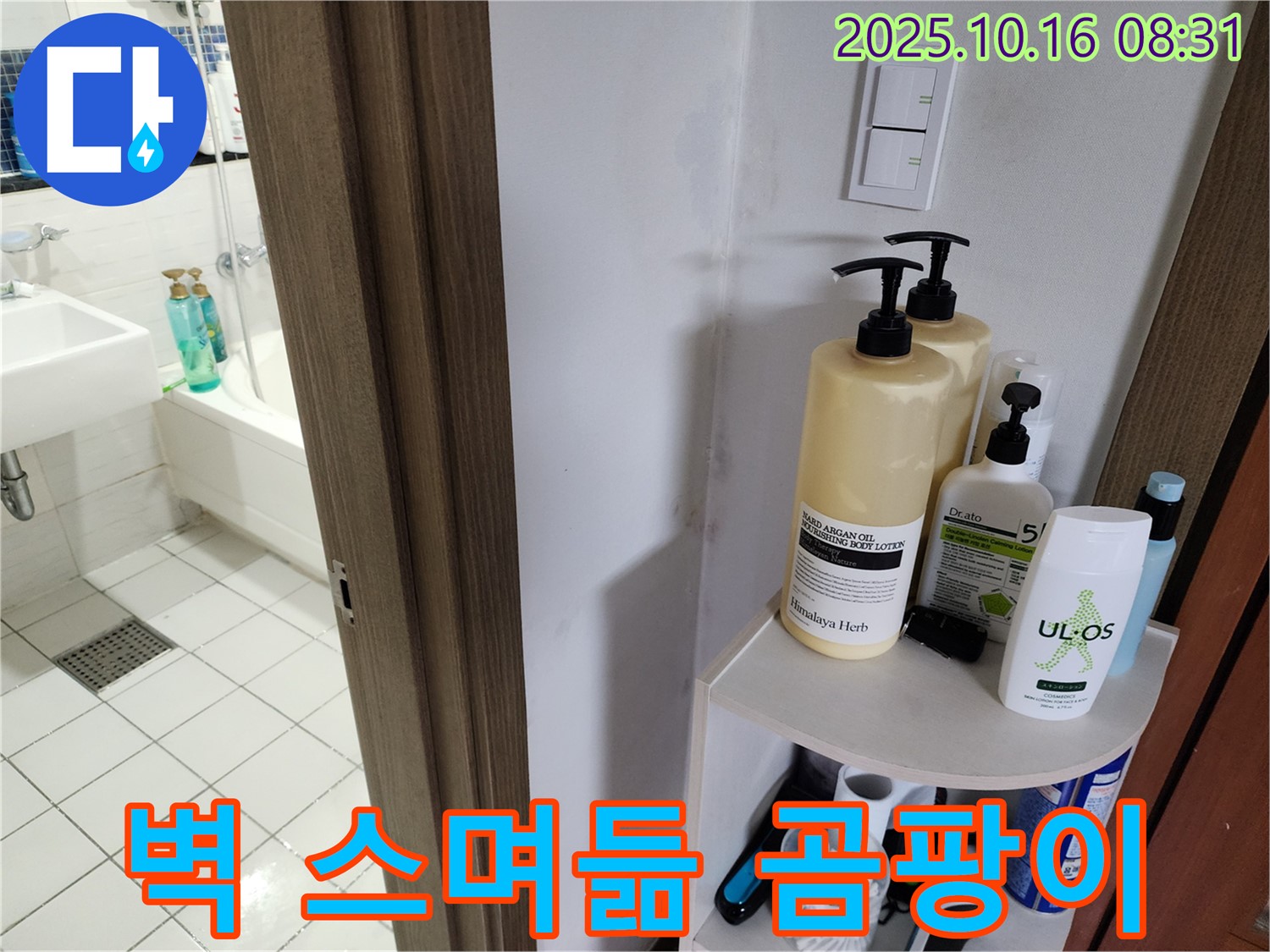 양주 경신리 욕실 누수 - 벽 스며듦과 곰팡이, 누수 가능성