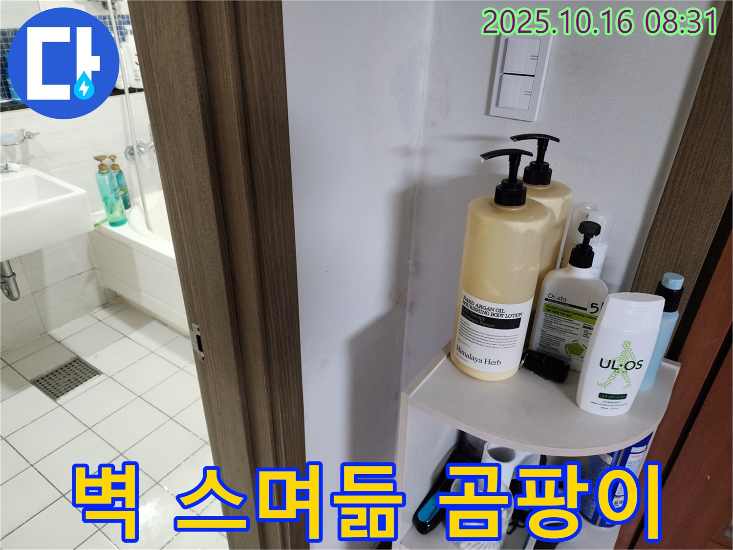 양주 경신리 욕실 누수 - 벽 스며듦과 곰팡이, 누수 가능성