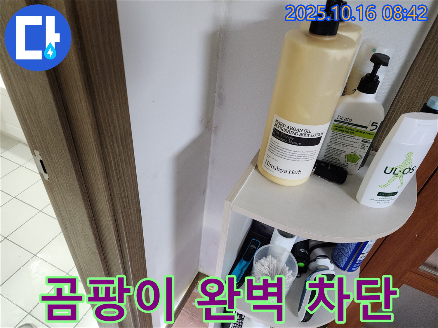 양주 남면 경신리 욕실 곰팡이 - 누수 문제 해결로 완벽 차단, 쾌적한 욕실로 변신!