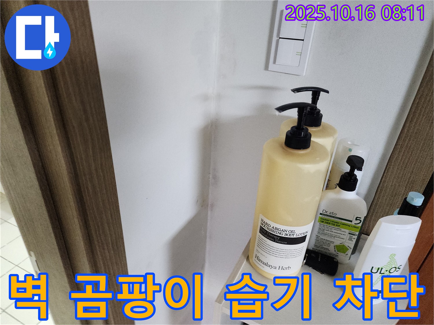 양주 남면 경신리 욕실 - 벽 곰팡이 - 곰팡이 제거와 함께 완벽한 습기 차단