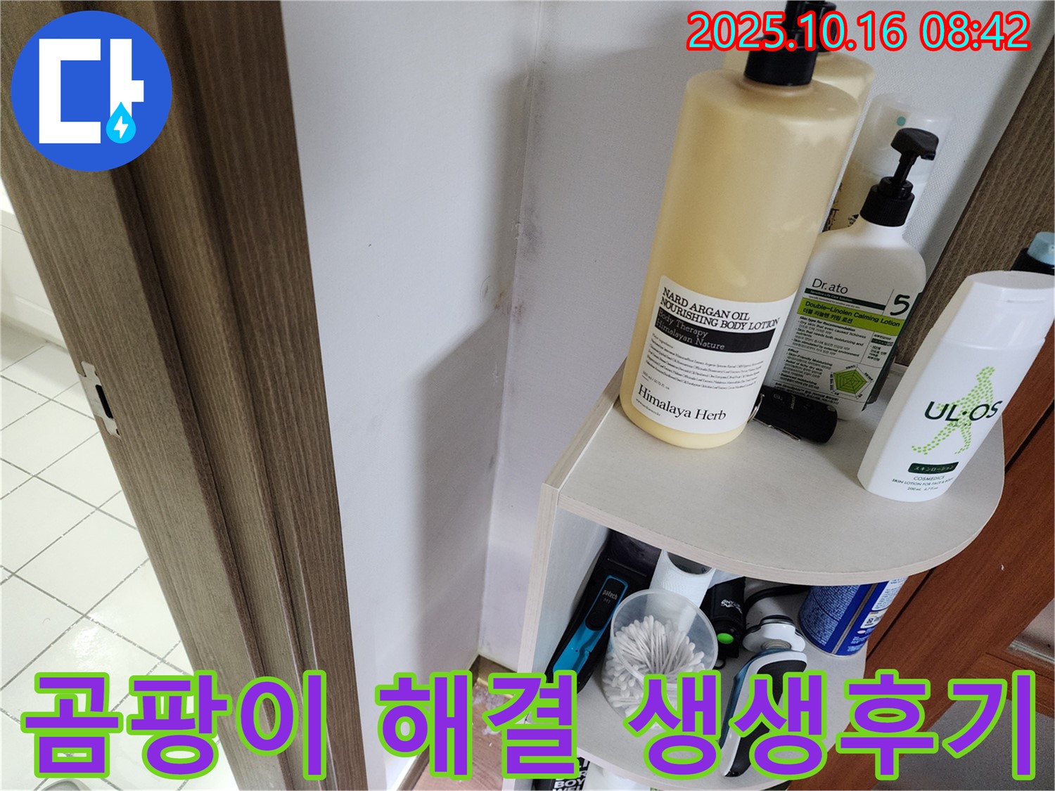 양주 남면 경신리 욕실 벽면 곰팡이 - 누수탐지 전문가의 완벽 해결 생생 후기