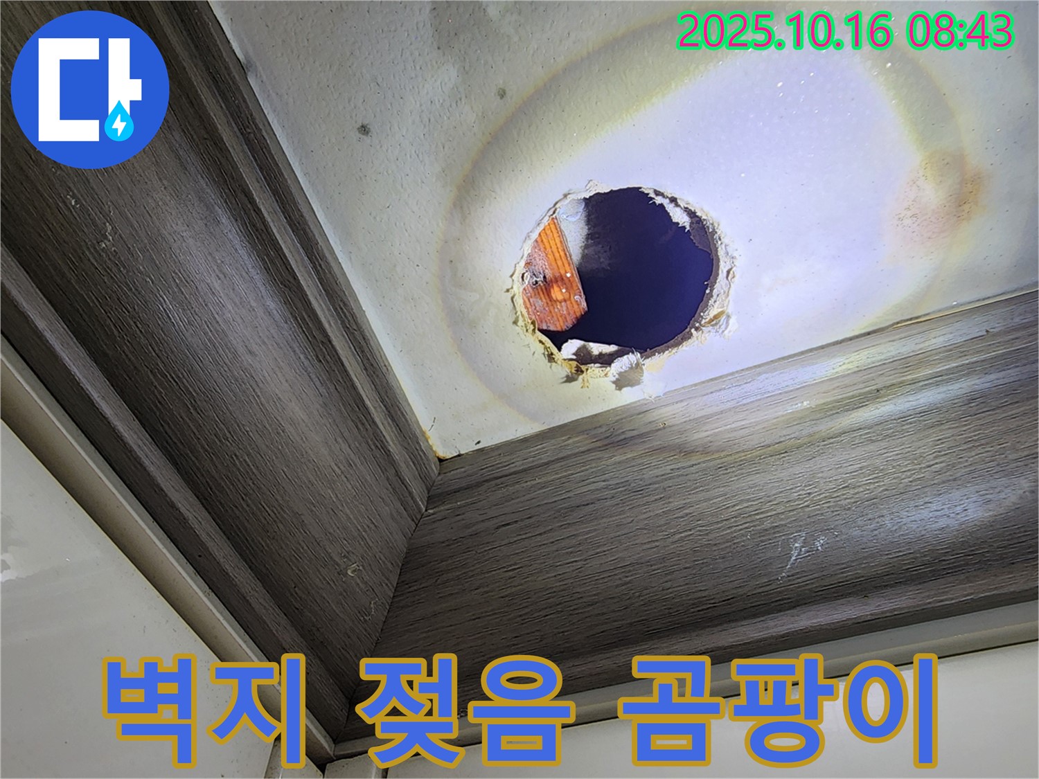 양주 남면 천장 구멍 누수 - 젖은 벽지 - 곰팡이 번식 우려
