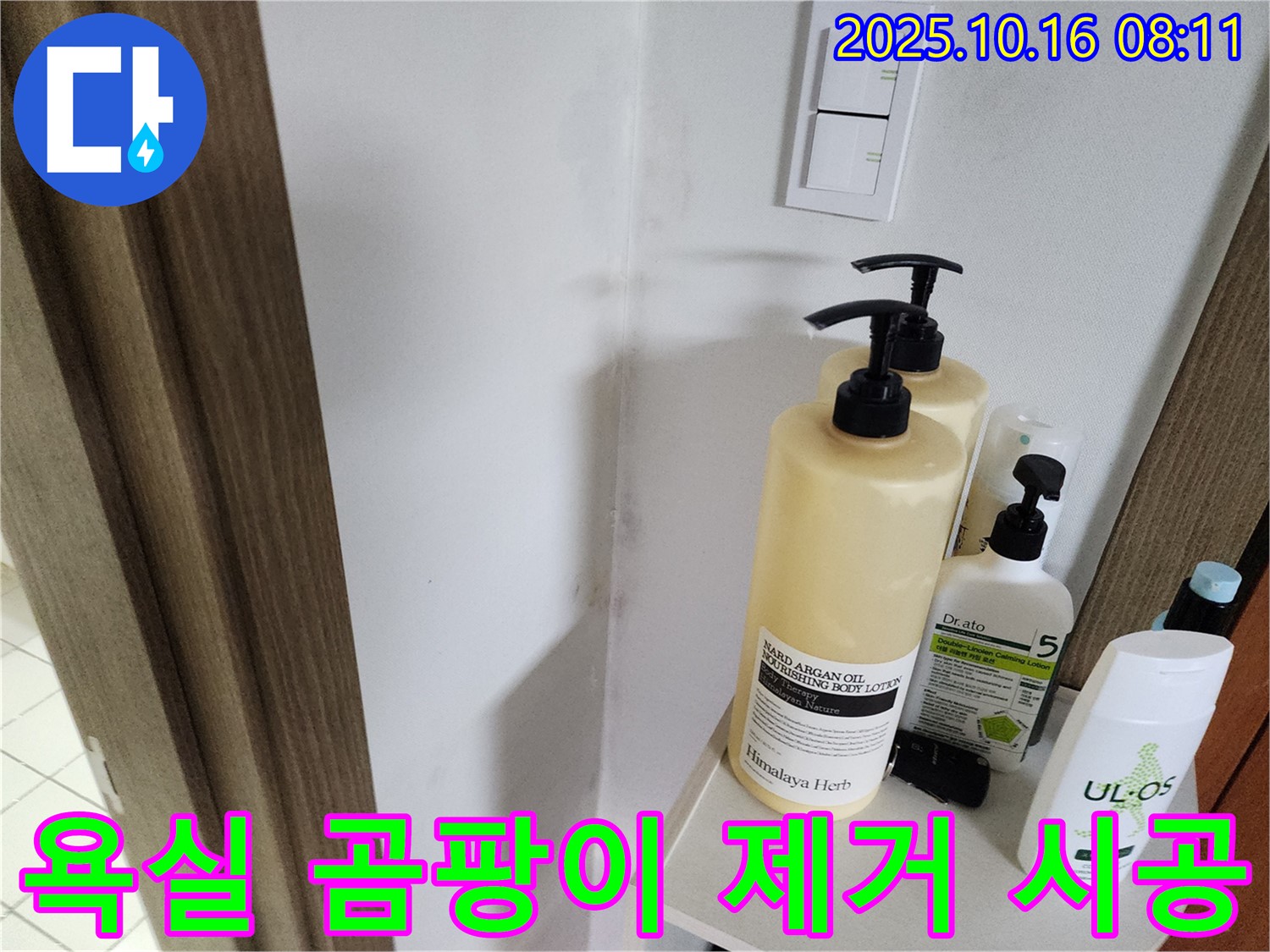 양주시 남면 경신리 욕실 - 벽 곰팡이 제거 시공 전문가의 꼼꼼한 작업