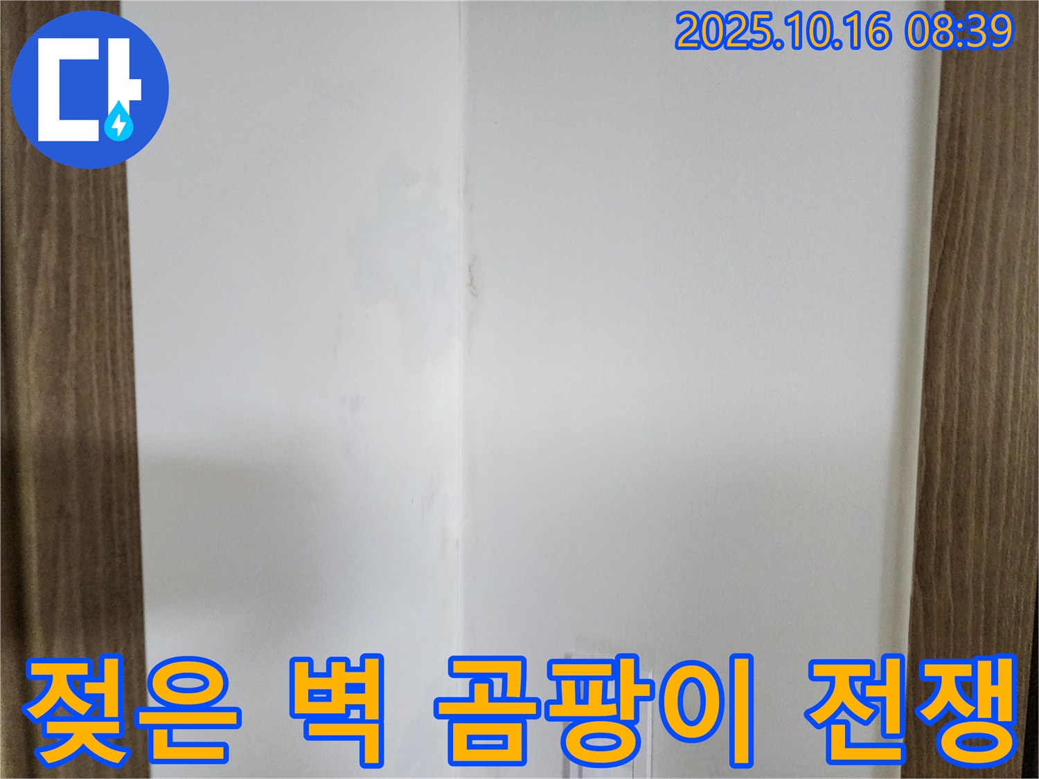 양주시 남면 경신리 주택 - 젖은 벽, 곰팡이와의 전쟁 선포 - 누수 해결 의지