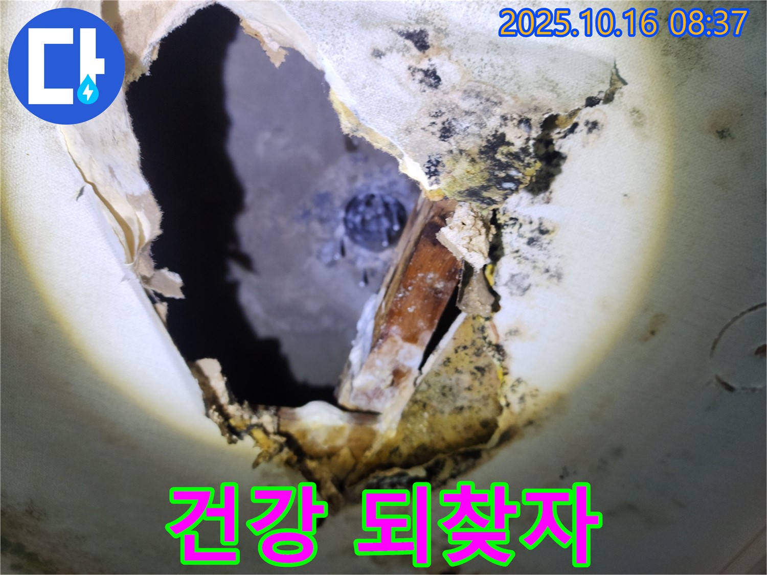 양주시 남면 경신리 주택 천장 - 곰팡이 천장, 누수 뿌리 뽑고 건강 되찾으세요!