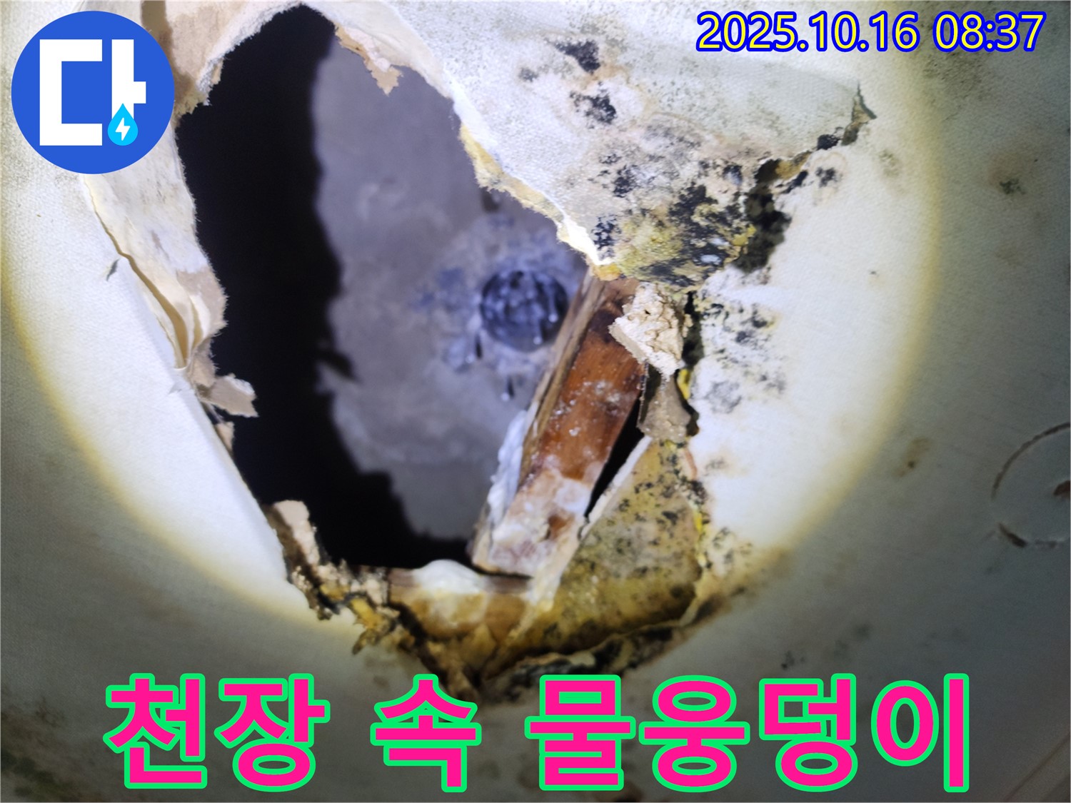 양주시 남면 경신리 주택 천장 - 곰팡이 천장 속 물웅덩이 - 심각한 누수 상황입니다.