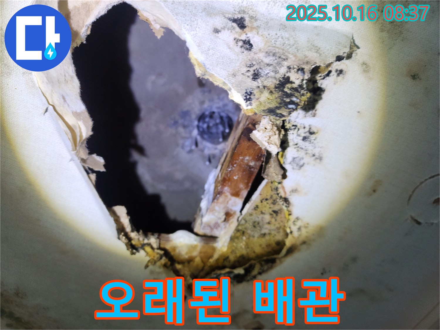 양주시 남면 경신리 주택 천장 - 곰팡이 천장 속 오래된 배관 - 교체가 시급한 상황입니다.
