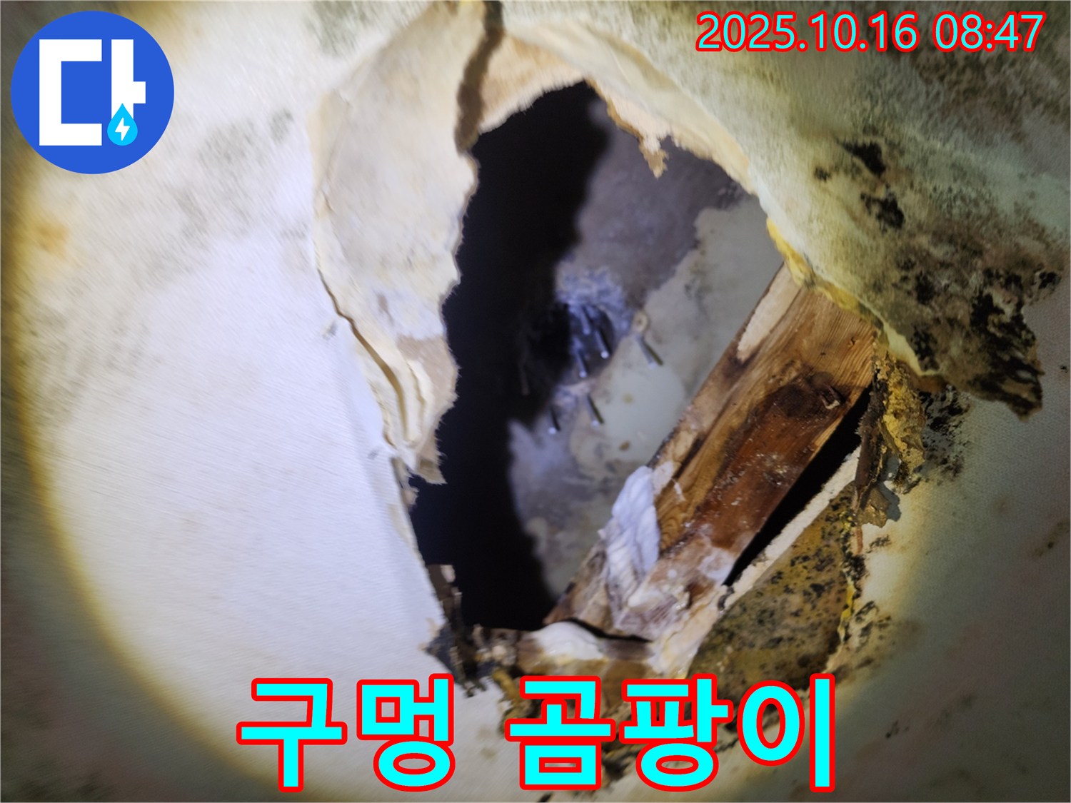 양주시 누수 - 천장 구멍 속 곰팡이와 습기 - 건강을 위협하는 숨겨진 누수, 철저한 점검 및 완벽 해결을 약속드립니다.