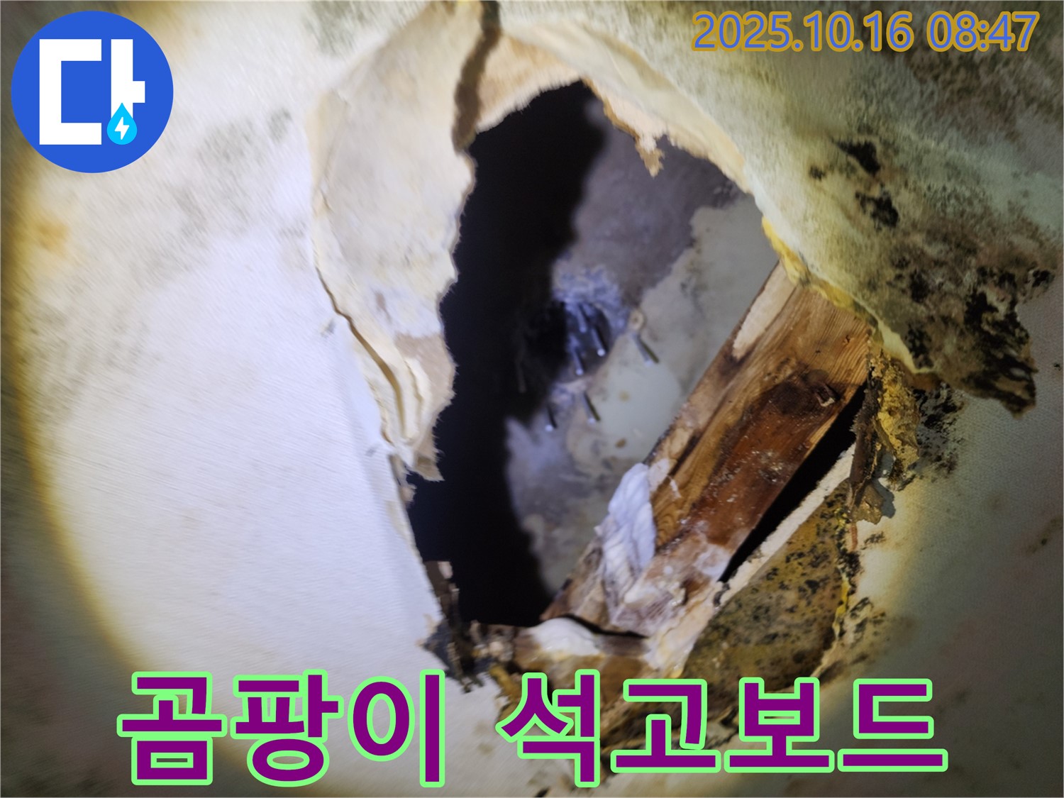 양주시 누수탐지 - 천장 속 곰팡이와 무너진 석고보드 - 붕괴 위험, 정밀 진단 및 긴급 보수가 필요합니다