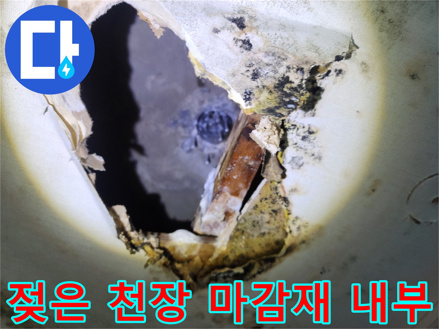천장 절개 후 드러난 곰팡이 핀 배관 주변 구조물