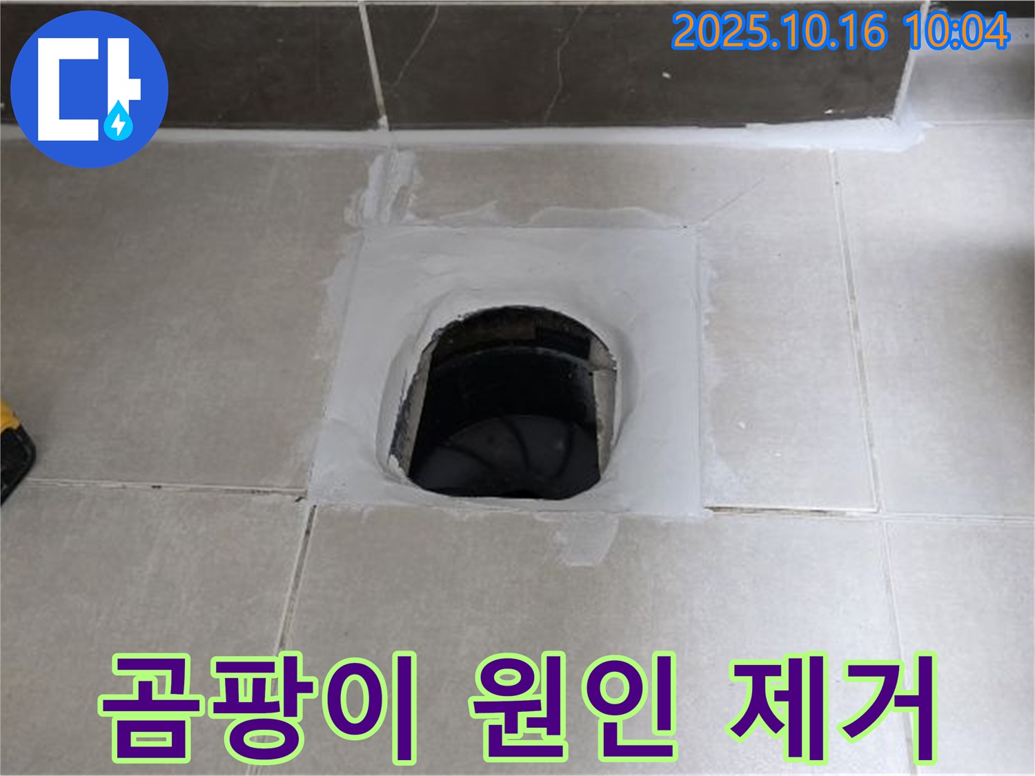 양주 옥정 율정마을 욕실 하수구 주변 곰팡이 발생 - 확실한 누수 원인 제거로 곰팡이 문제 해결