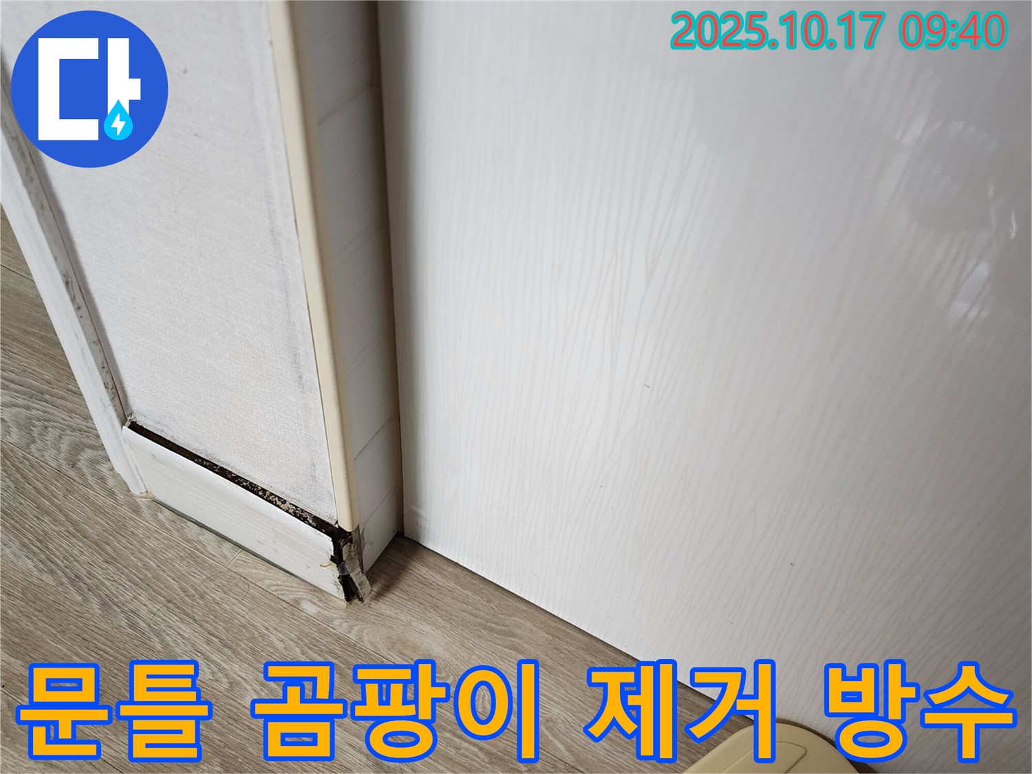 양주 누수 문제 해결 - 문틀 하단 곰팡이 제거와 완벽한 방수 작업 과정
