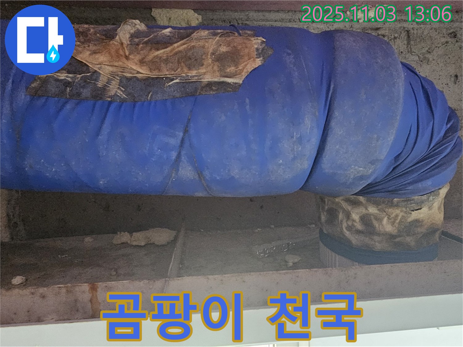 서울 누수 현장 - 낡은 파란 보온재, 곰팡이의 천국이 되어버린 배관의 모습입니다.