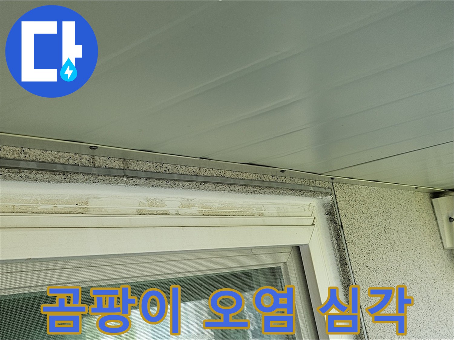 신월동 누수 현장 - 창틀 주변 곰팡이와 오염이 심각한 상태를 보여주는 사진입니다.
