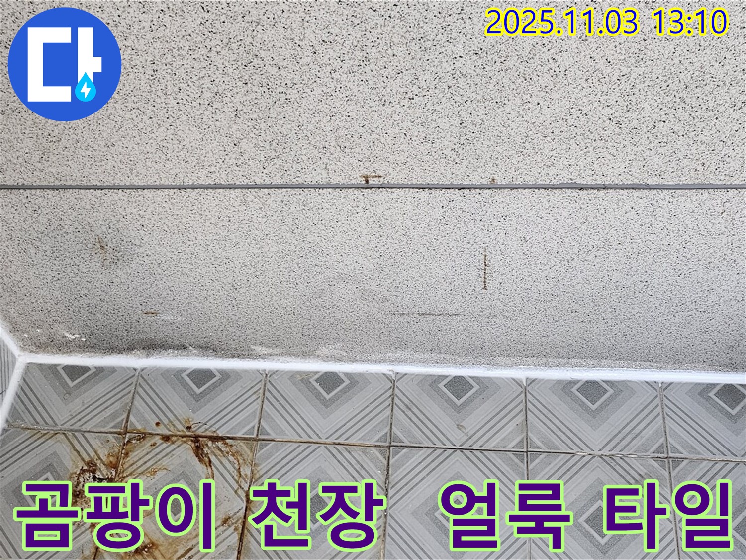 양천구 신월동 누수 - 곰팡이 핀 천장과 얼룩진 타일, 누수 문제 신속하게 해결 진행!