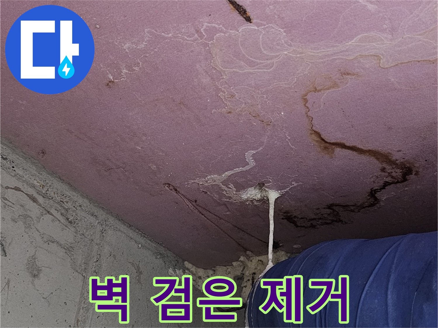 양천구 신월동 누수 - 벽 검은 자국 - 곰팡이 제거 및 향균 시공