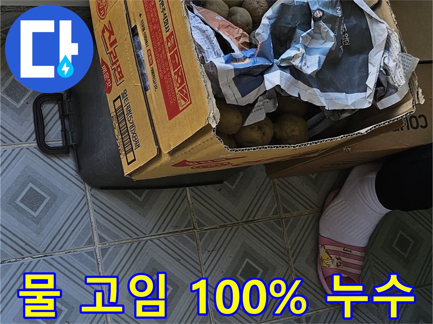 양천구 신월동 누수 현장 - 감자 박스 주변에 물이 고여 있다면 100% 누수입니다 - 즉시 전문가에게 문의하세요.