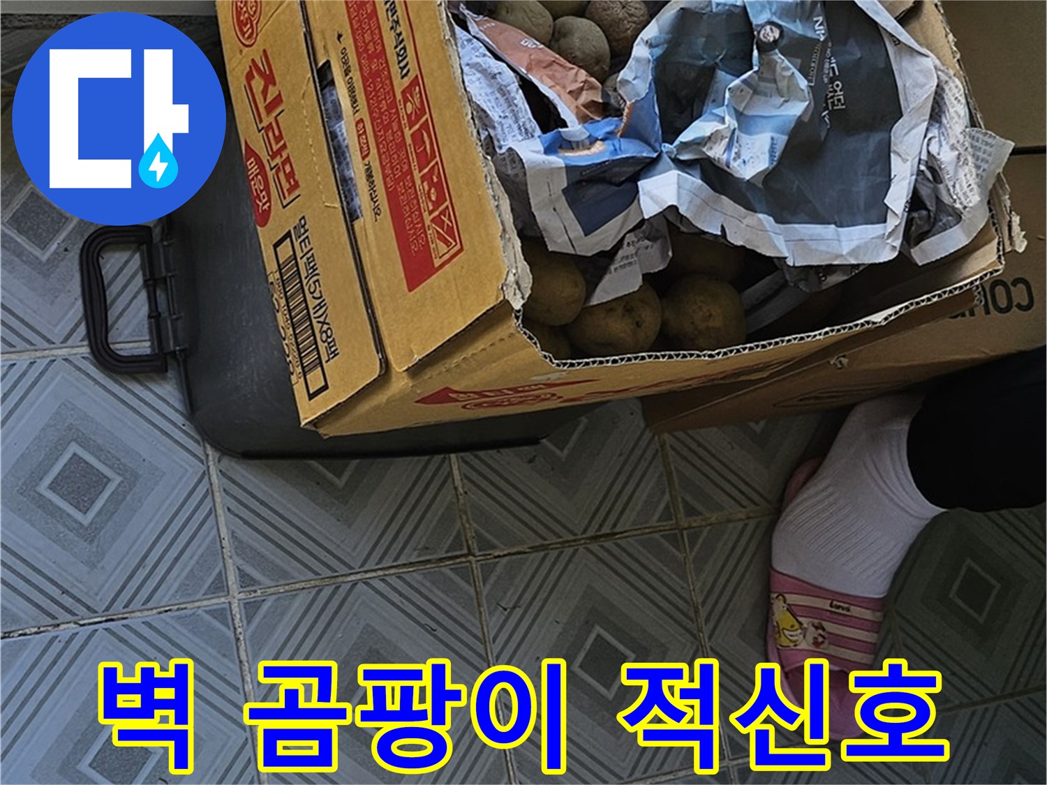 양천구 신월동 엘리시안 A동 누수 현장 - 감자 박스 주변 벽 곰팡이는 건강에 적신호가 켜졌음을 의미합니다 - 즉시 누수 점검을 받으세요.