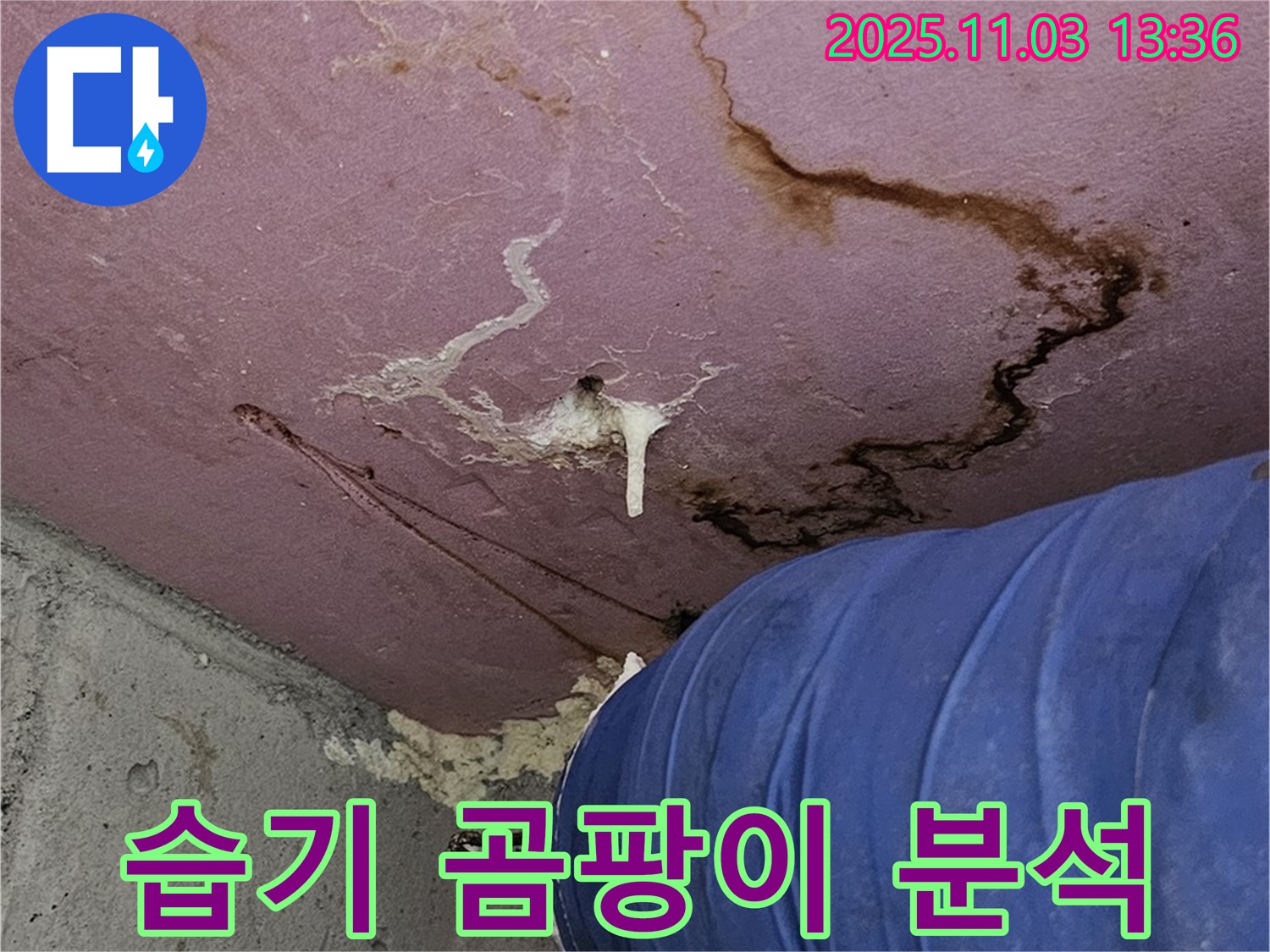 양천구 신월동 엘리시안 누수 현장 - 습기 찬 벽과 곰팡이 발생 원인 분석, 쾌적한 환경 조성
