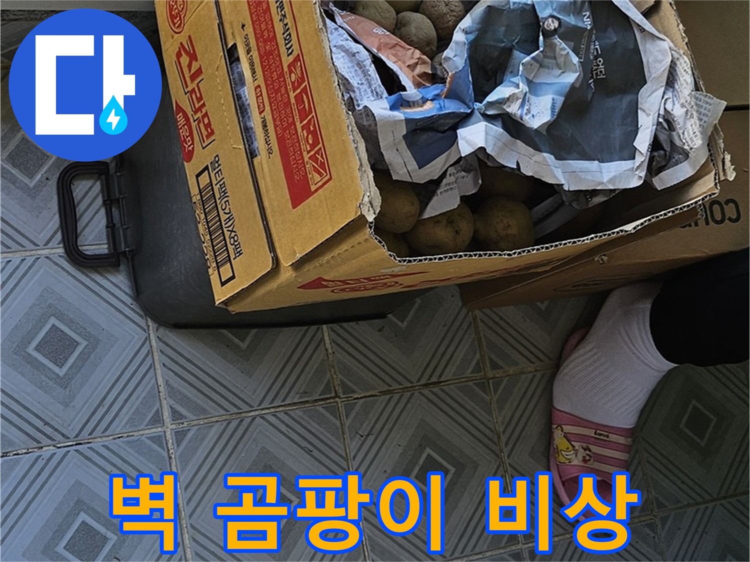 양천구 오목로 엘리시안 A동 누수 현장 - 감자 박스 주변 벽에 곰팡이가 피었다면 건강에 비상이 걸린 것입니다 - 즉시 누수 점검을 받으세요.