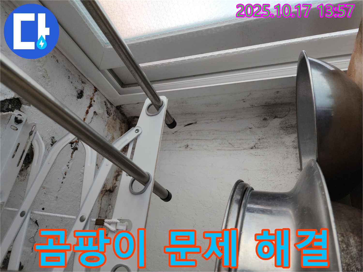 곰팡이 문제 - 곰팡이 문제를 보여주는 사진입니다. 곰팡이 제거의 필요성을 강조합니다.