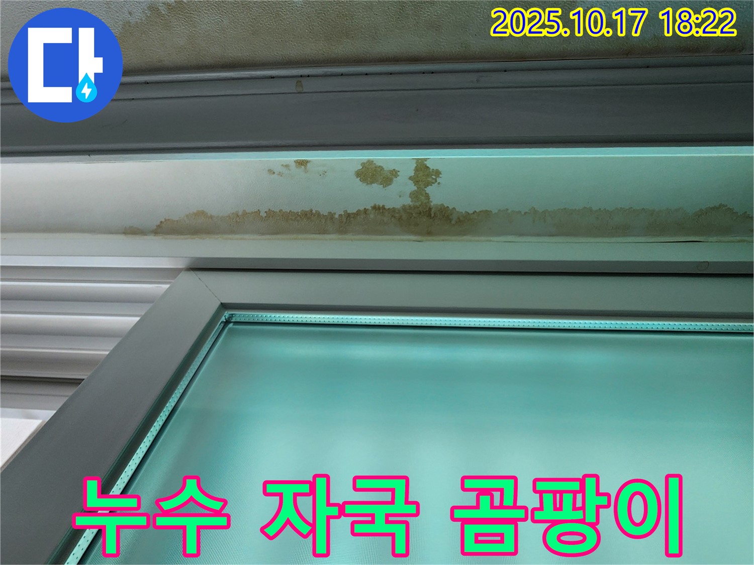 양주 상수리 누수 현장 - 천장 누수 자국과 곰팡이가 심각한 상태입니다.