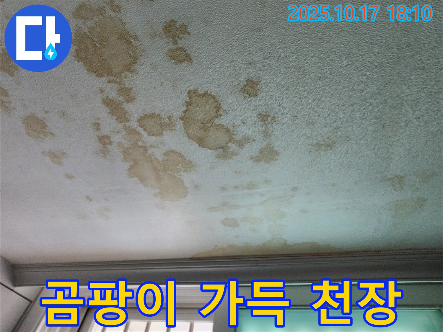 양주시 남면 주택 천장 - 곰팡이 가득한 천장, 누수 해결만이 근본적인 해결책입니다.