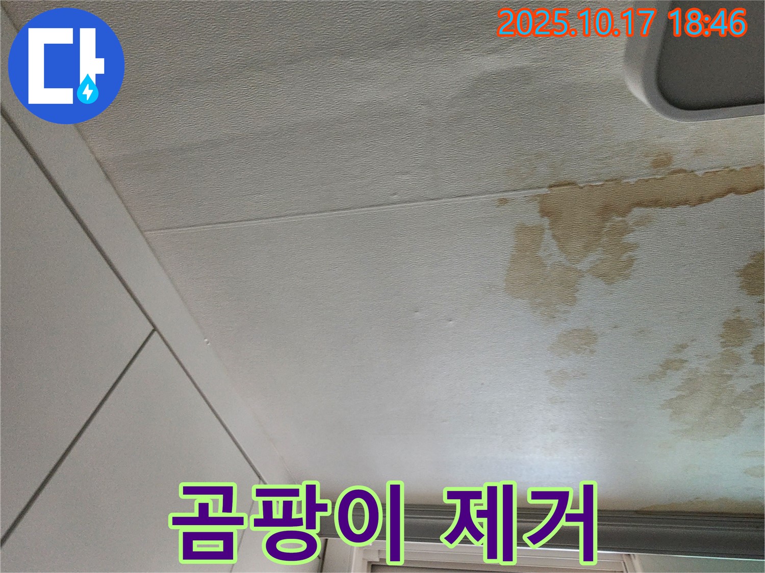 양주시 상수리 천장 누수 - 곰팡이 얼룩 완벽 제거 및 재발 방지