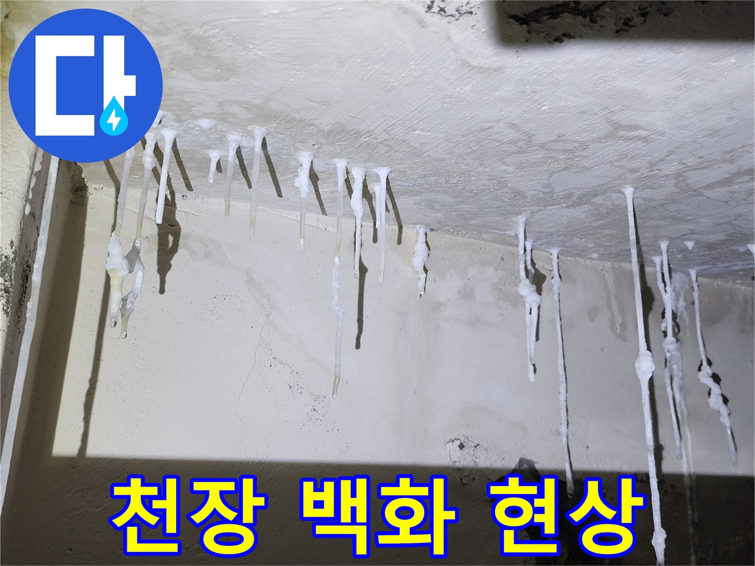 석현리 건물 천장-백색 결정체가 형성된 모습