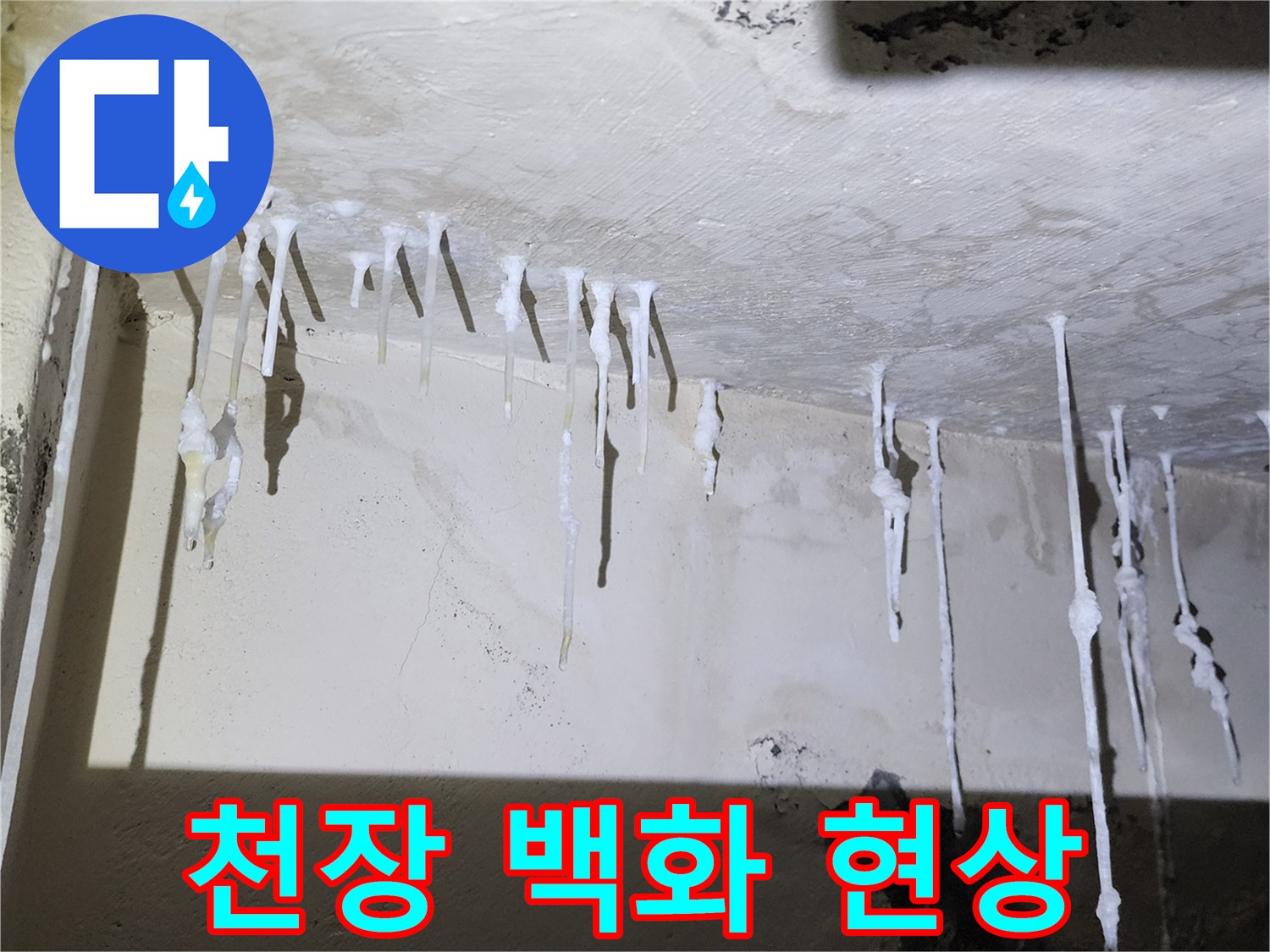 양주시 석현리 화장실 천장-백색 석회 고드름 형성