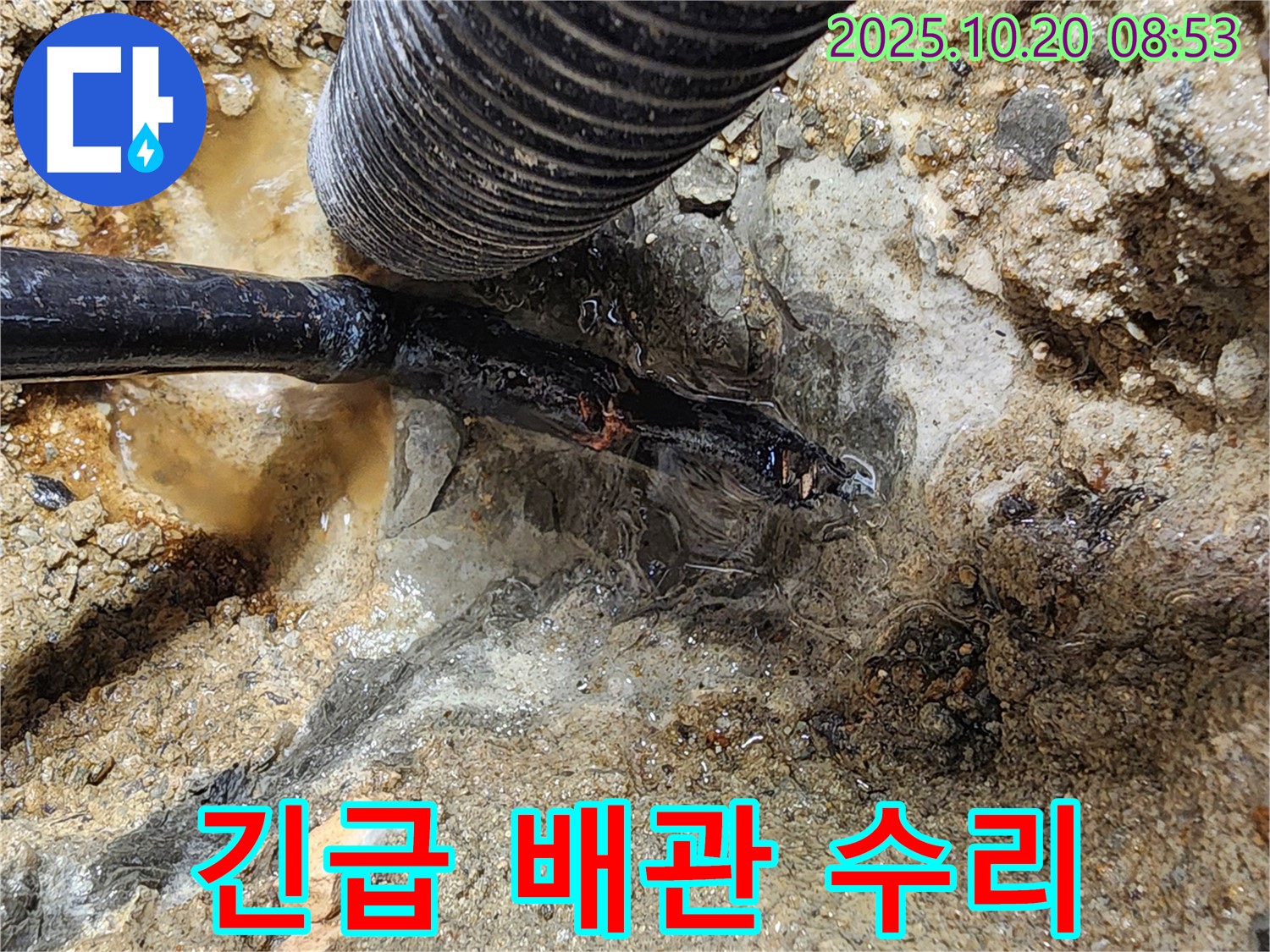 양주시 장흥면 석현리 누수 - 갑작스러운 배관 파열로 인한 누수를 긴급하게 수리하는 모습입니다.