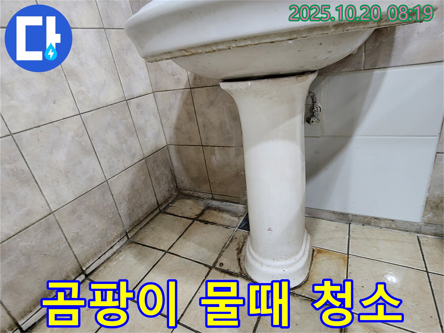 양주시 장흥면 석현리 세면대 곰팡이 물때 - 세면대 주변의 곰팡이와 물때를 완벽하게 청소하는 시공을 진행하고 있습니다.