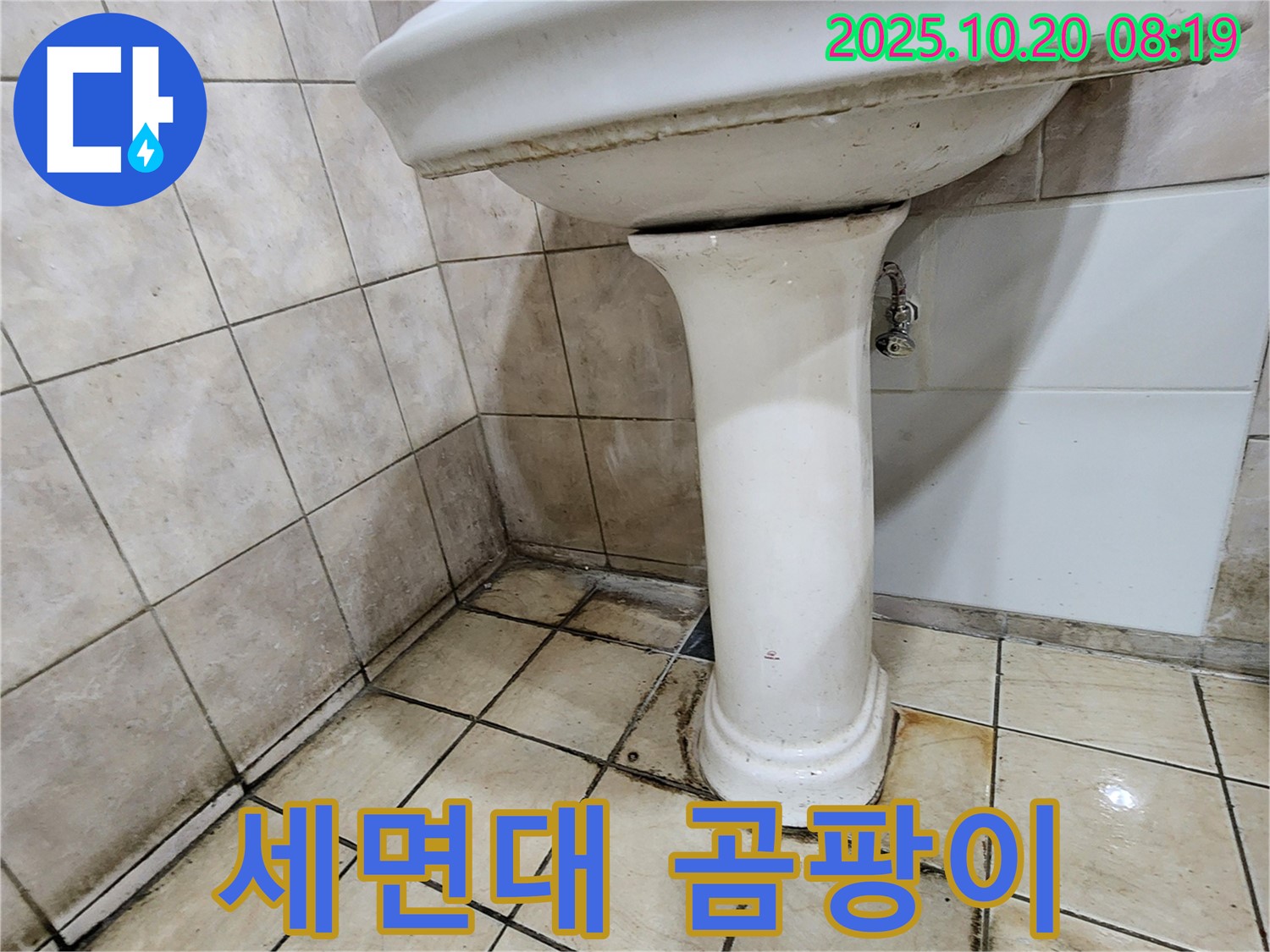 양주시 장흥면 석현리 세면대 주변 곰팡이 - 누수로 인해 세면대 주변에 곰팡이가 심하게 발생한 상태를 보여줍니다.