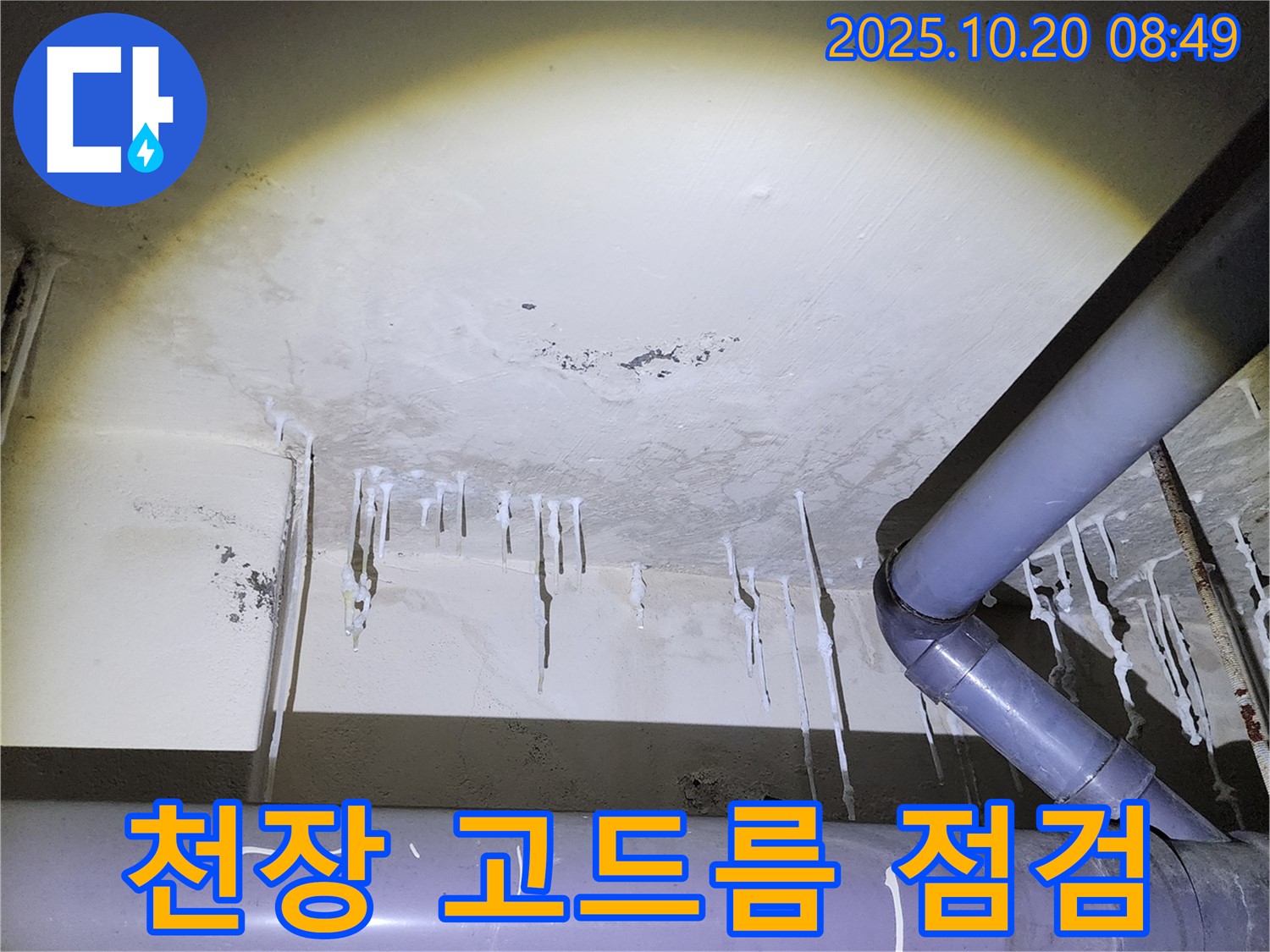 양주시 장흥면 석현리 천장 누수 현장 - 긴급 누수 점검 중, 석회 고드름 발견!