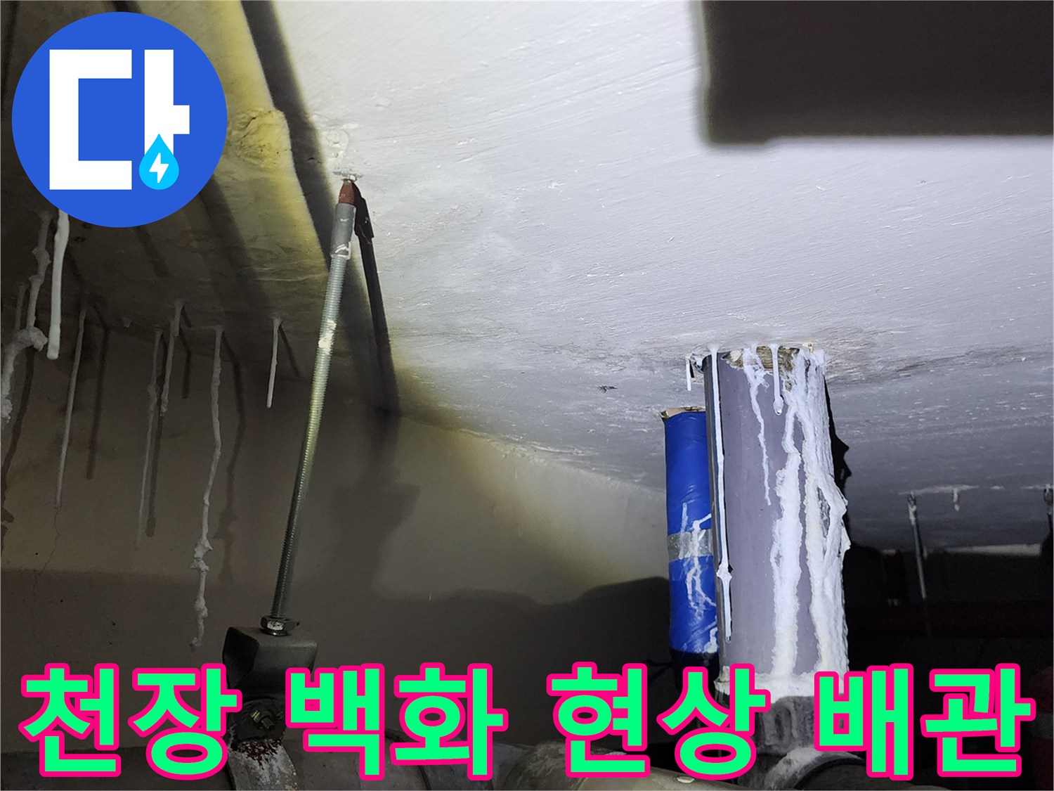 천장 슬래브를 타고 흘러내린 백색 석회 고드름과 노출 배관 상태