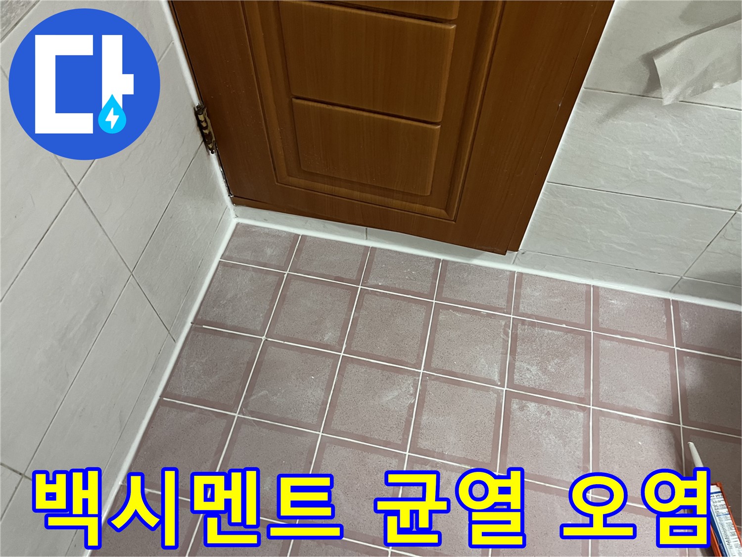 금천구 독산동 형제맨션빌 욕실 - 문 주변 타일 틈새 백시멘트의 심각한 균열과 오염 상태 점검