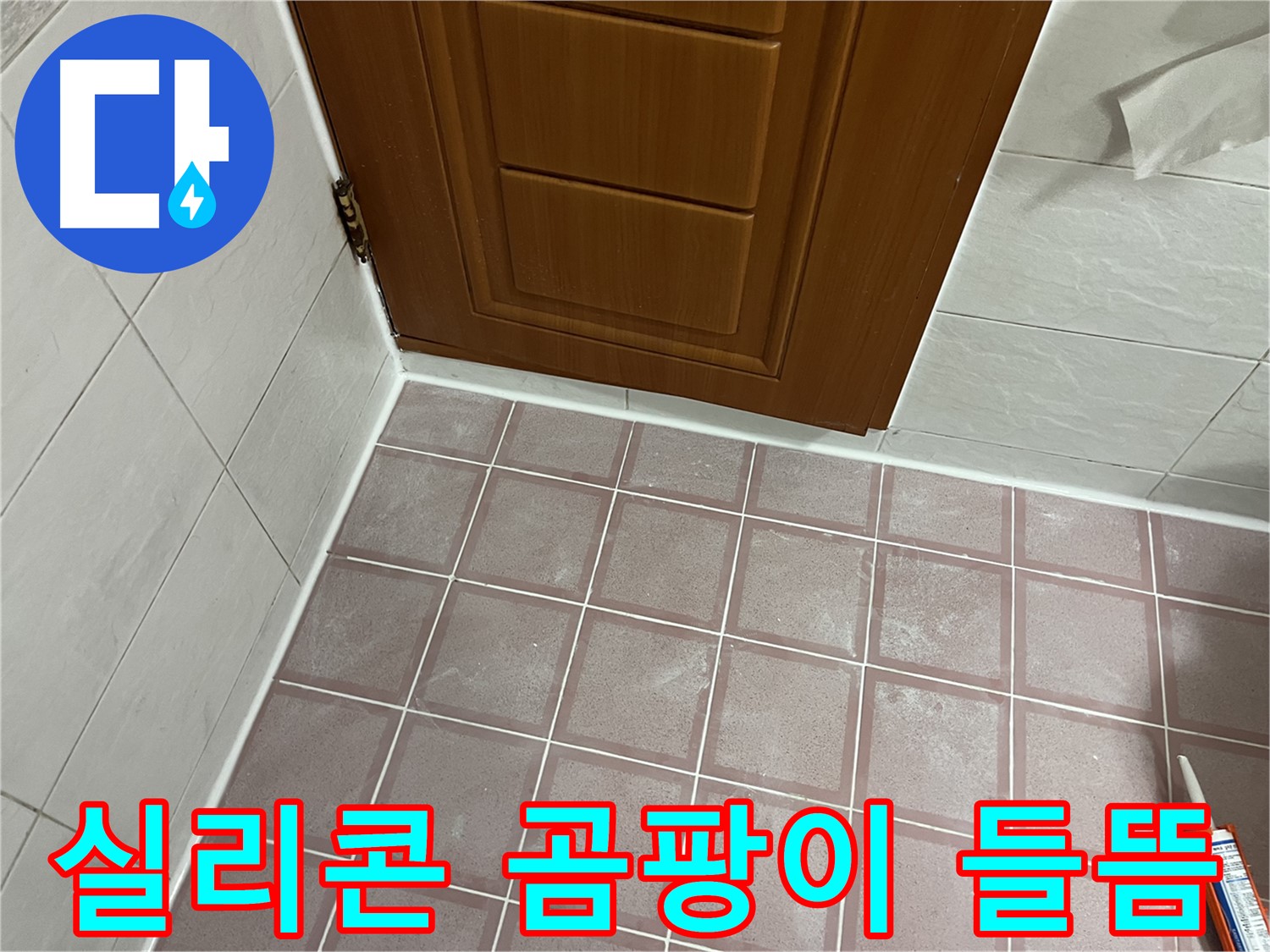 금천구 독산동 형제맨션빌 욕실 - 문 하단 타일 주변 실리콘 곰팡이와 들뜸 정밀 진단