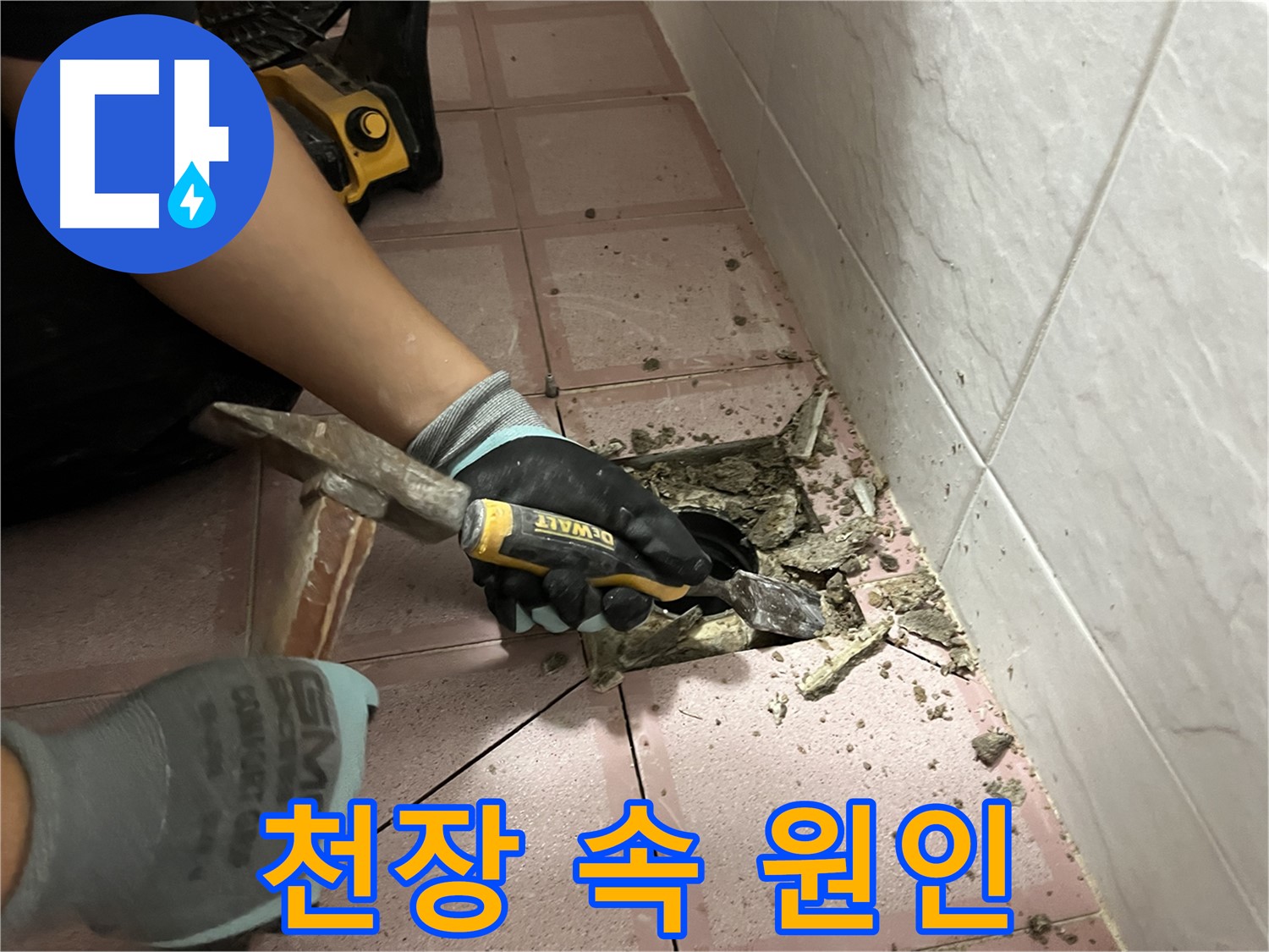 금천구 독산동 형제빌 누수 원인 파악을 위해 천장 속 꼼꼼히 확인