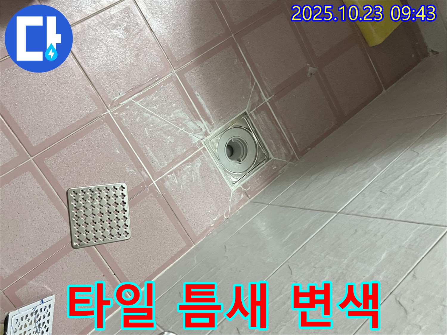 독산동 형제맨션빌 욕실 - 배수구 주변 타일 틈새 검게 변색, 곰팡이와 누수의 합작?!