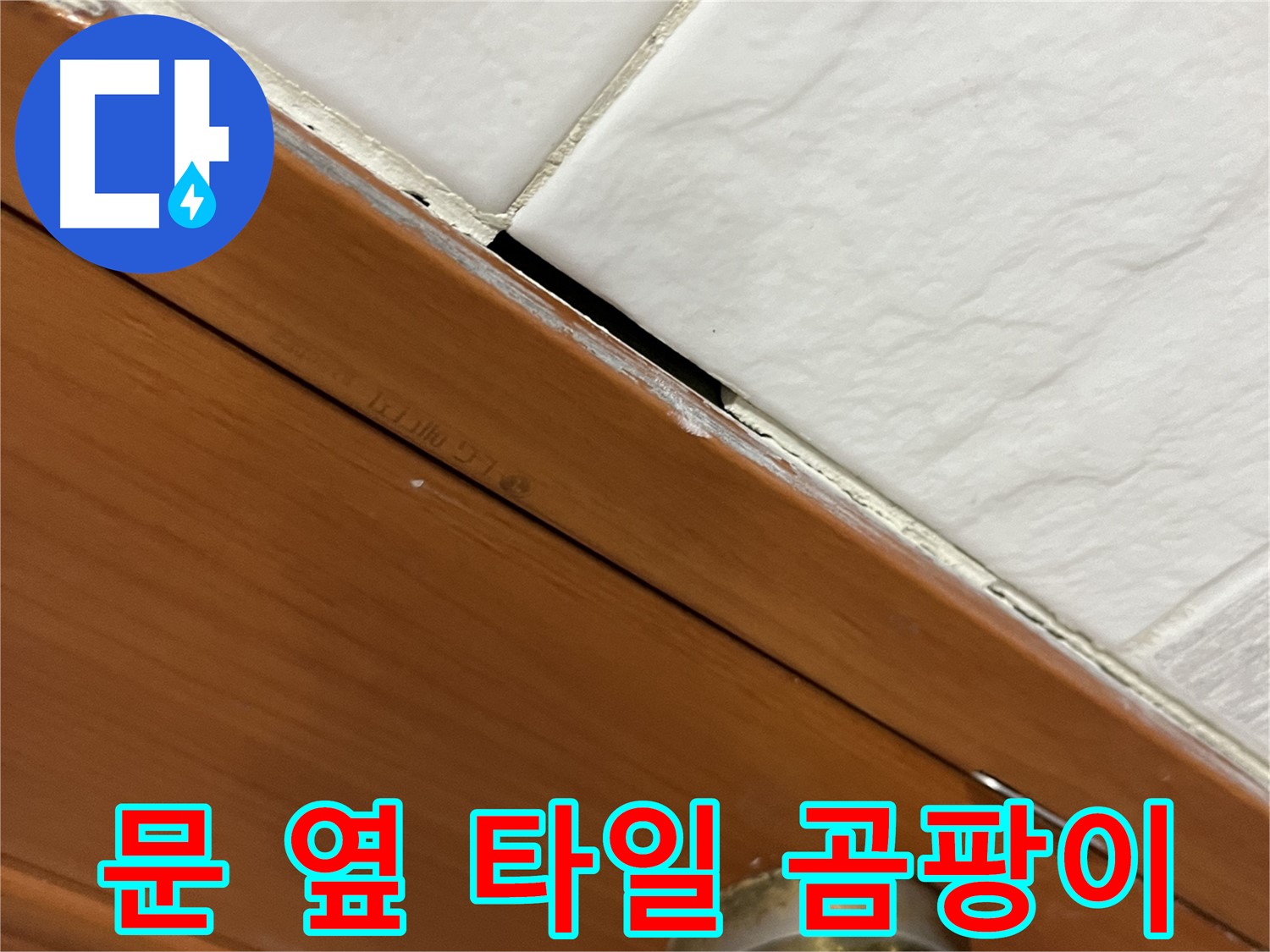 문 옆 타일 틈새에 곰팡이 - 누수 위험 경고