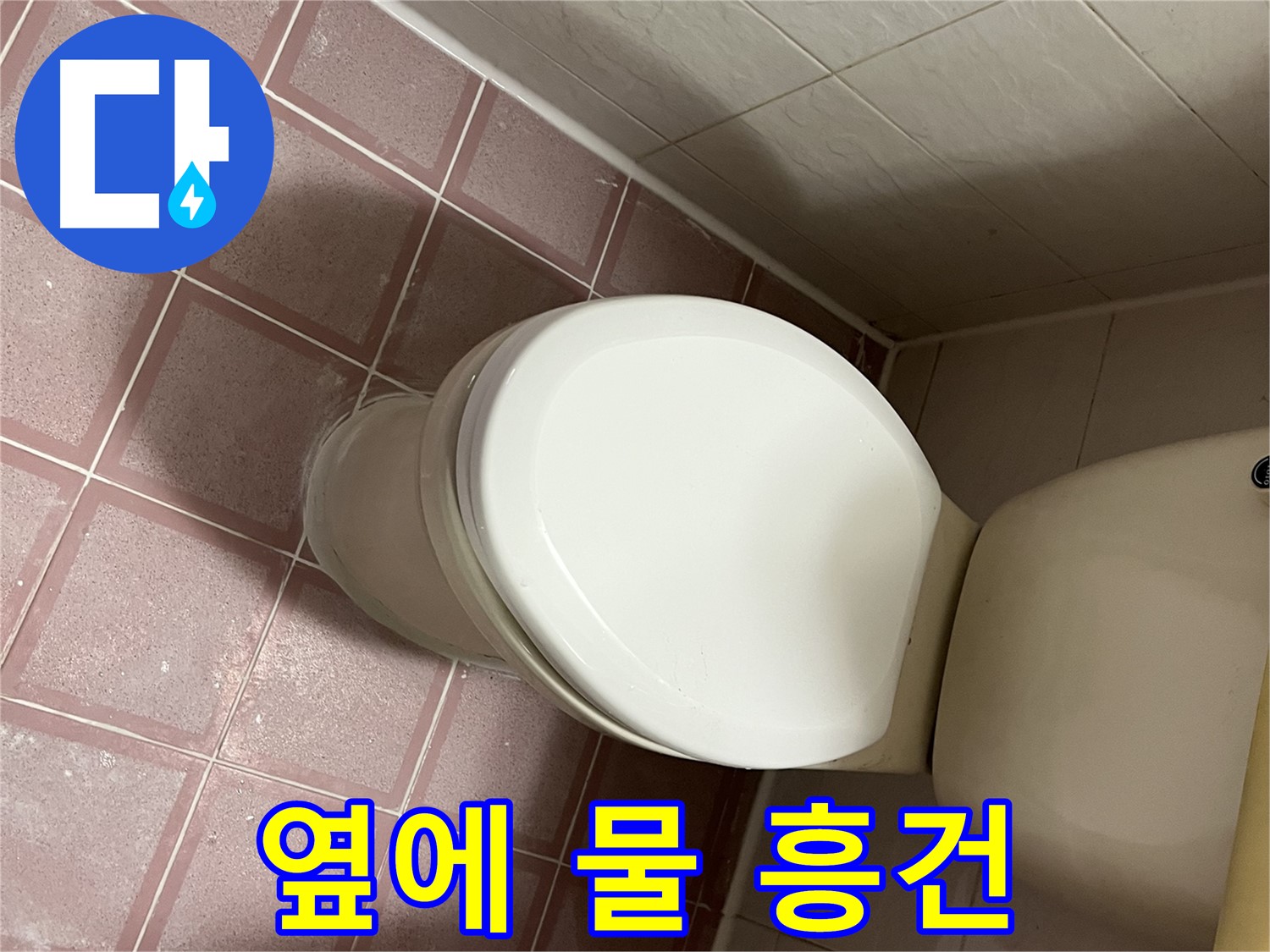 변기 누수 - 옆에 물 흥건하게 고임 - 독산동 형제맨션빌