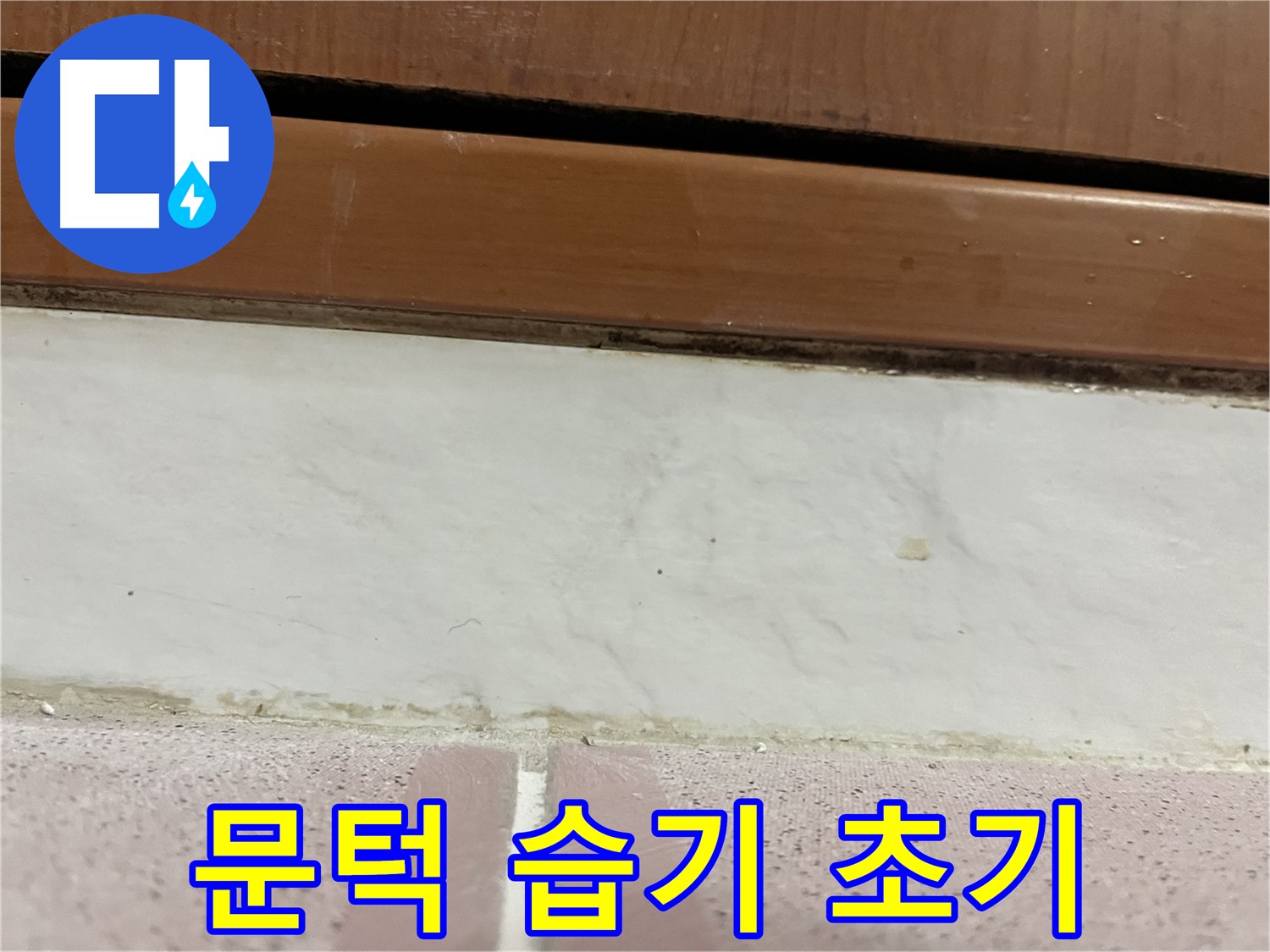 형제맨션빌 누수 - 문턱 아래 타일 틈새 곰팡이와 습기 초기 발견